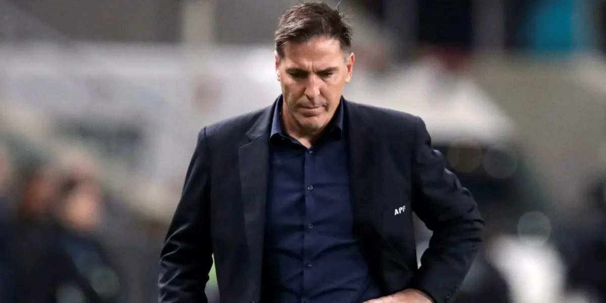 El entrenador de la selección ha encontrado aliados en los medios.