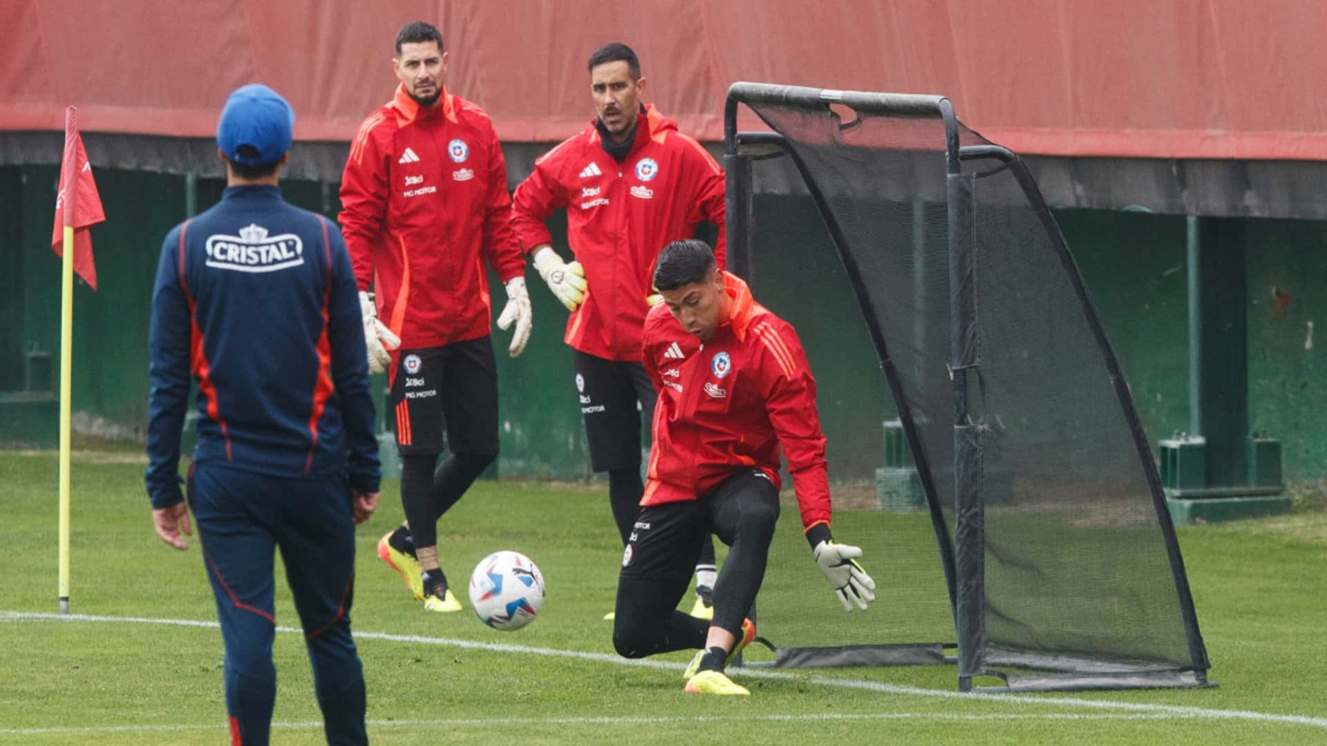 Foto tomada de: BioBio Chile