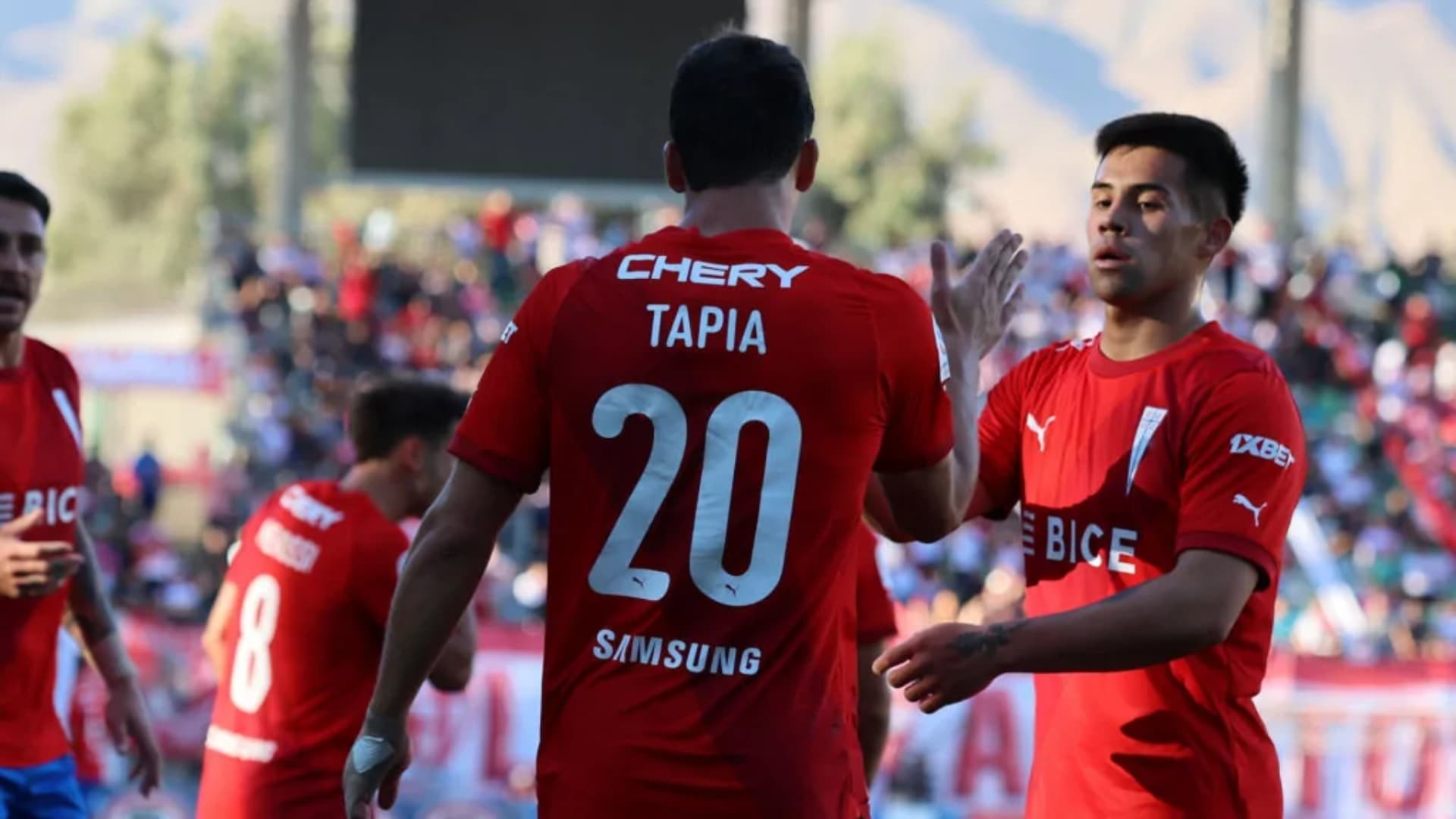 Foto tomada de: Cruzados