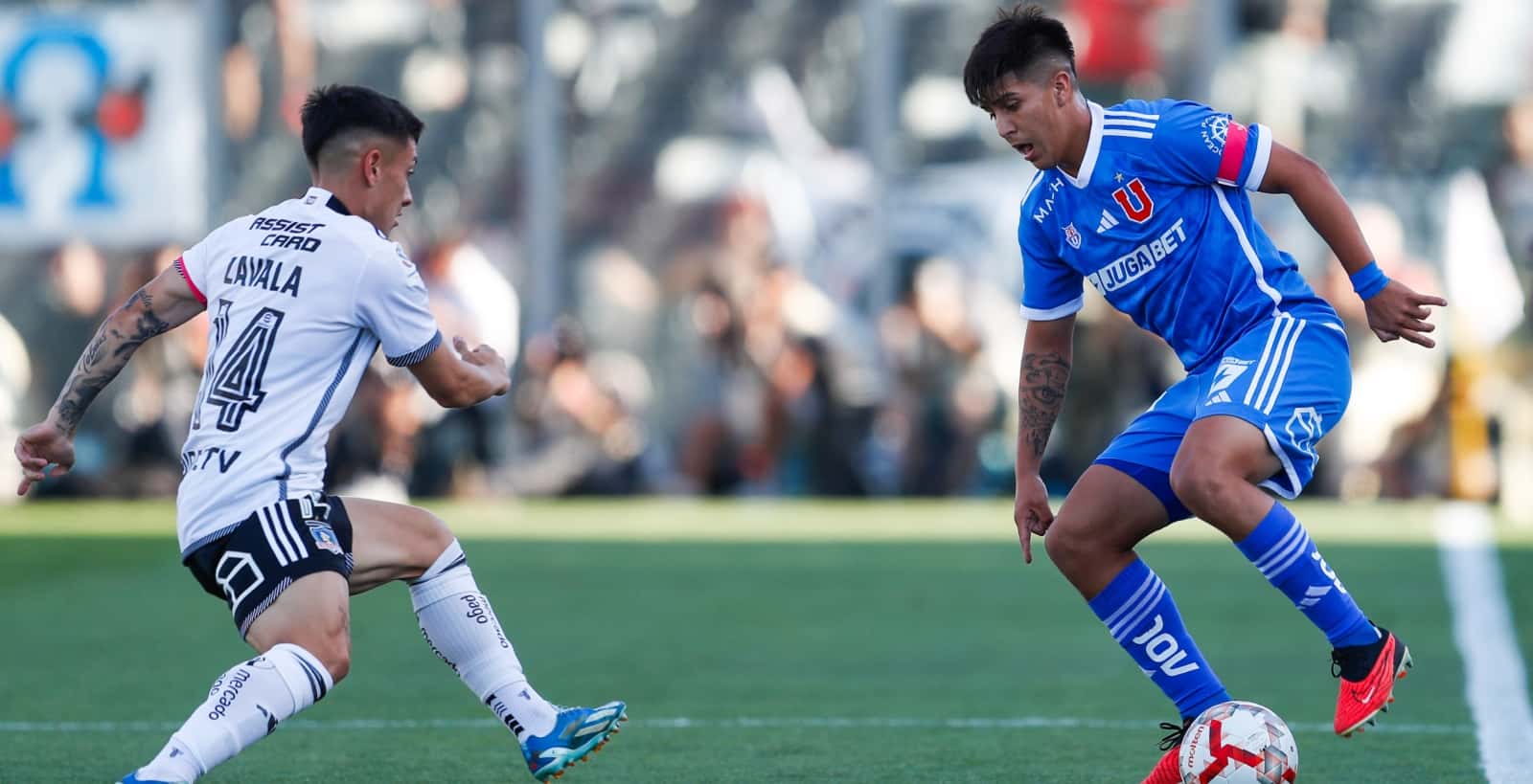 Marcelo Morales sigue recibiendo elogios.