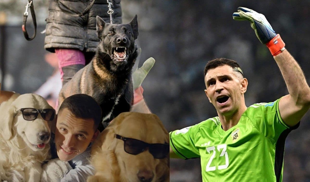 Revisa la comparación de las mascotas de ambos futbolistas.